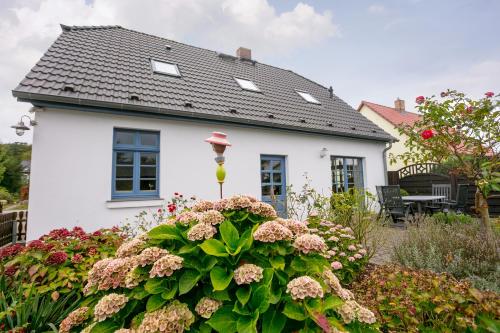 蒂索Ferienwohnung Fortuna I的前面有一座白色房子,前面有一座花园