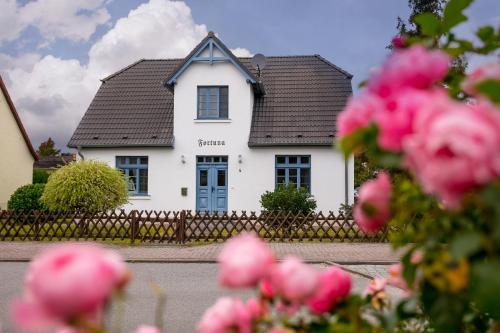 蒂索Ferienwohnung Fortuna II的白色的房子,有栅栏和粉红色玫瑰