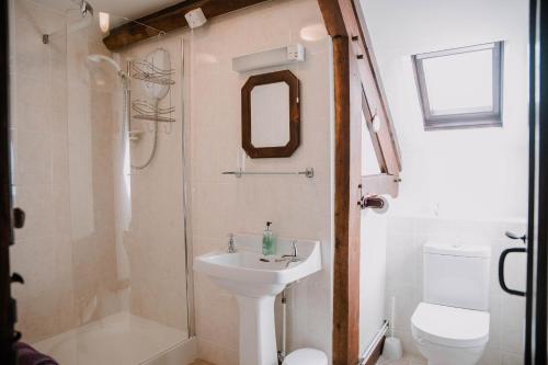 CliffordStargazer's Loft的一间带水槽、淋浴和卫生间的浴室