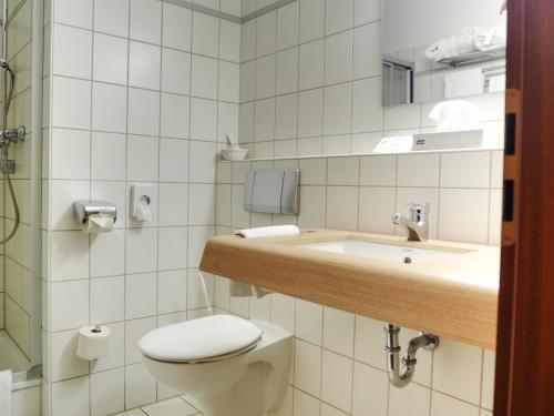 Lubast鲁巴斯特希斯酒店的一间带卫生间和水槽的浴室