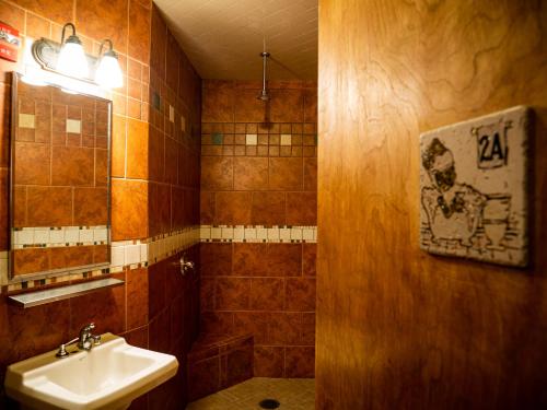 西雅图格林托特西雅图旅社的一间带水槽和镜子的浴室