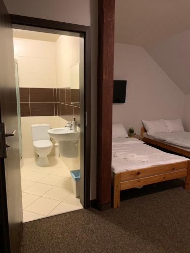埃尔布隆格Victoria的浴室设有床、卫生间和水槽。