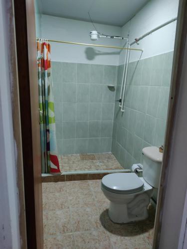 马尼萨莱斯HOTEL GIRASOLES的一间带卫生间和淋浴的浴室