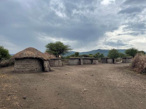 姆托瓦姆布DUPOTO HOMESTAY VILLAGE - MASAI VILLAGE (BOMA)的田间中一组小屋