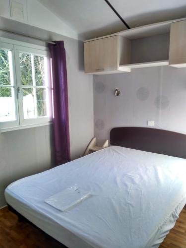普卢盖尔诺Mobilhome Plouguerneau的一间卧室设有一张床和一个窗口
