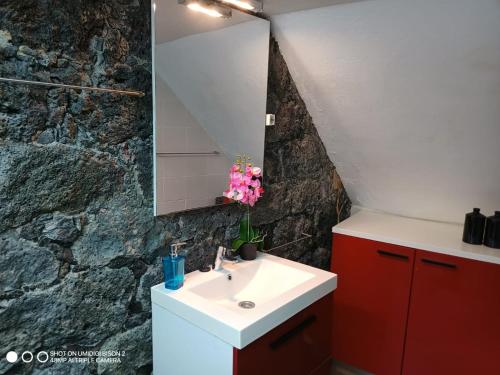 RibeirasCasa da Bicuda的一间带水槽和镜子的浴室