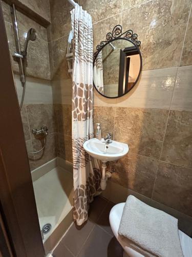 尼科西亚基普罗斯旅馆的一间带水槽和淋浴帘的浴室