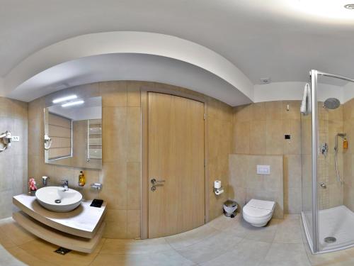 图尔恰Hotel Condor Tulcea的一间带水槽、卫生间和淋浴的浴室