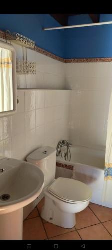 阿里翁达斯La casina de castiello的浴室配有白色卫生间和盥洗盆。