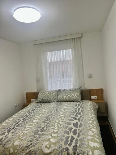 布尔奇科Apartman Eden的一间卧室设有一张大床和大窗户