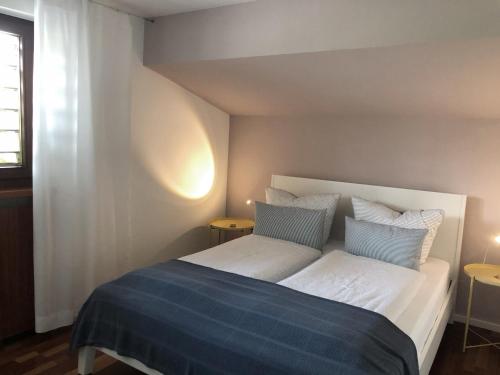 康斯坦茨Zwischen Hafen und Strandbad的卧室配有一张大白色的蓝色床单