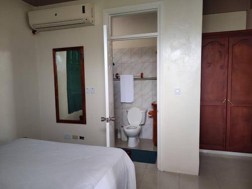 PortsmouthIso’s Vacation Rental Apartment #7的一间卧室配有一张床,浴室设有卫生间