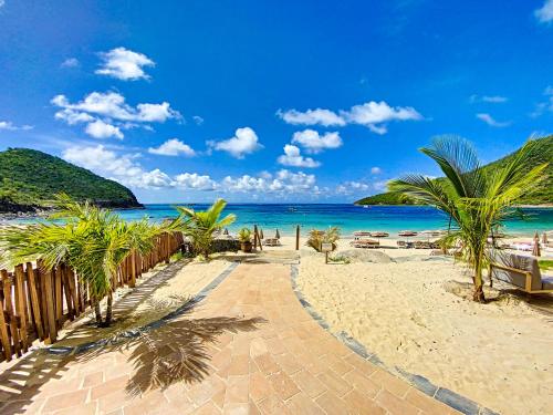 Anse Marcel Acacia Tropical, luxurious Duplex, walkable beach的通往棕榈树海滩和大海的路径