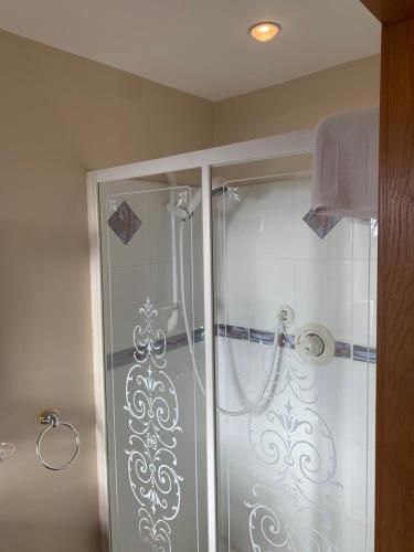 多尼戈尔Mayrone House B&B的浴室里设有玻璃门淋浴
