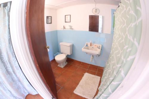 OracabessaCountry Side Cottages的蓝色的浴室设有卫生间和水槽