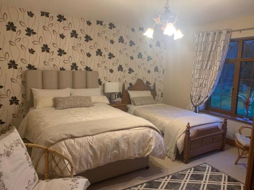 多尼戈尔Mayrone House B&B的一间卧室设有两张床和窗户。
