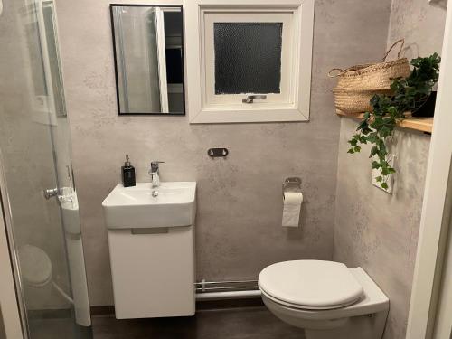 法尔肯贝里Mindre lägenhet i en lantlig miljö i Skrea的一间带卫生间、水槽和镜子的浴室