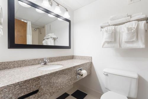 布兰森Thousand Hills Resort Hotel的一间带水槽、卫生间和镜子的浴室