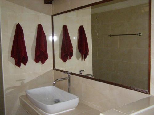 象岛幸运壁虎花园旅馆的一间带水槽、卫生间和镜子的浴室