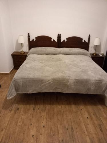 阿桂拉斯Casa Independiente Centro的一间卧室配有一张大床、木地板和两盏灯。