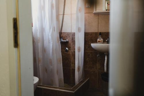 蒂瓦特Apartments Djukic的带淋浴和盥洗盆的浴室