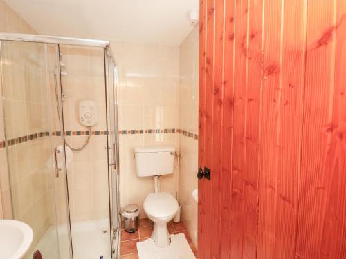 CastlerichardThe Granary的浴室配有卫生间、淋浴和盥洗盆。
