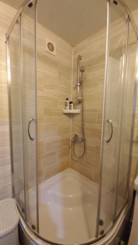克里沃罗格Однокімнатна квартира на вулиці Володимира Великого 22的浴室里设有玻璃门淋浴