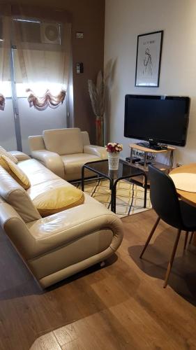 萨格勒布Gasperius apartments的客厅配有2张沙发和1台平面电视