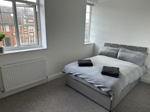 亨顿Spectacular Modern, Brand-New, 1 Bed Flat, 15 Mins Away From Central London的一间卧室配有一张带两个枕头的床