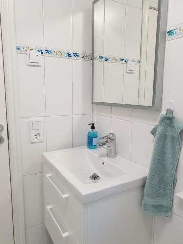 格兰纳Sjöutsikten的白色的浴室设有水槽和镜子