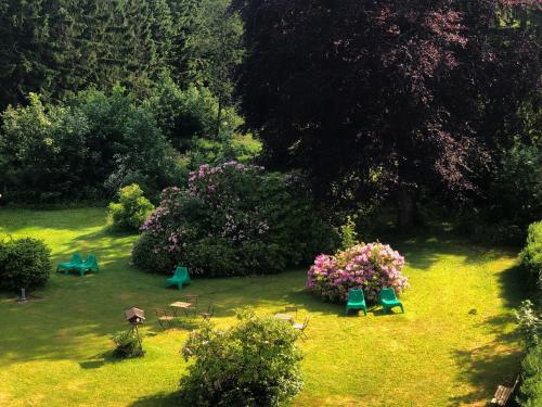 哈嫩克利博克斯维斯Berghotel HARZ的草地上种有椅子和鲜花的花园
