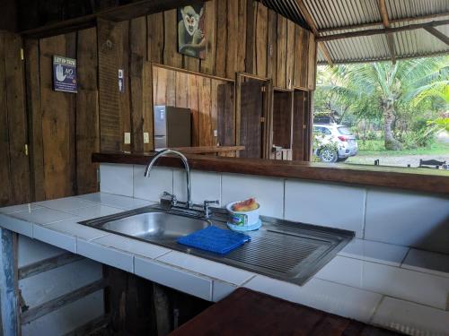德雷克Citronela Lodge Corcovado的带水槽的厨房台面和窗户