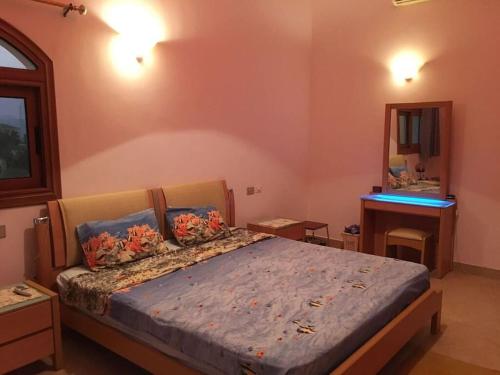 沙姆沙伊赫Villa Dina的一间卧室配有一张大床和镜子