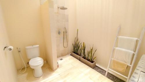 龙目岛库塔Villa Atas Pelangi的一间带卫生间、淋浴和植物的浴室