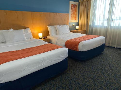 圣胡安Ficus Hotel的酒店客房设有两张床和两盏灯。