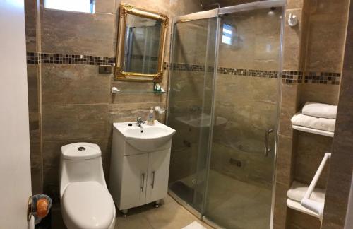 卡尔德拉Hotel CostaFósil的带淋浴、卫生间和盥洗盆的浴室