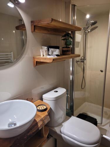 卡斯特鲁ALMA CHILOTA的浴室配有卫生间、盥洗盆和淋浴。