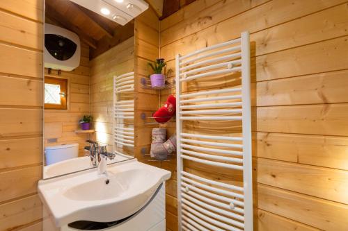 Les CombesSauvage的一间带水槽和木墙的浴室