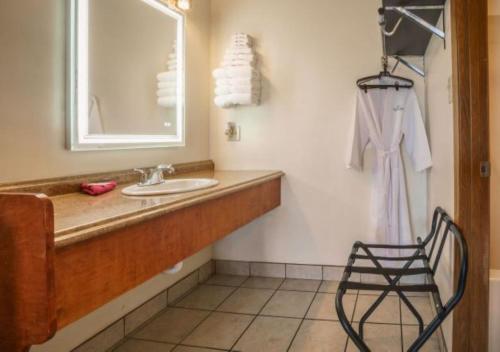 布兰森西Shady Acre Inn and Suites的一间带水槽、镜子和椅子的浴室