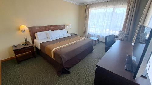 特木科迪亚哥德阿尔马格罗特木科酒店的酒店客房设有一张床和一个大窗户