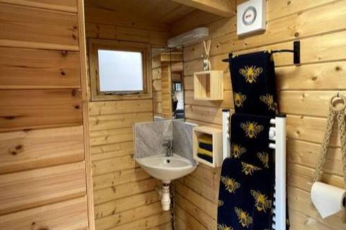 多切斯特The Bee Hive Garden Room的客房内设有带水槽和卫生间的浴室