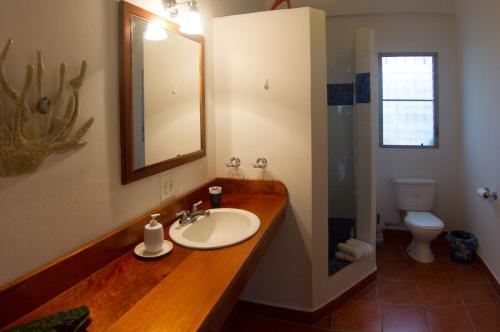 蓬塔戈尔达BlueBelize B&B的一间带水槽、镜子和卫生间的浴室