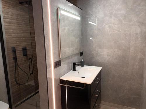 莱昂Apartamento Roma 8的一间带水槽和淋浴的浴室