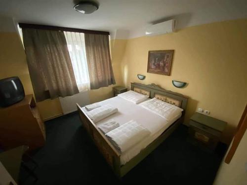 巴拉通雷勒自由旅馆的一间卧室设有一张大床和一个窗户。