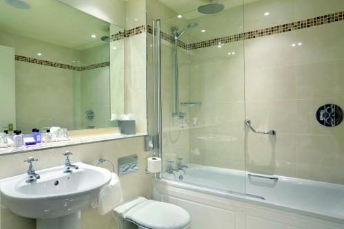 阿维莫尔Macdonald Aviemore Hotel at Macdonald Aviemore Resort的一间带水槽、淋浴和卫生间的浴室