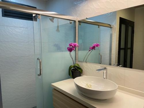 波拉波拉Fare Luna - Comfy New home in Bora Bora的一间带水槽和玻璃淋浴的浴室