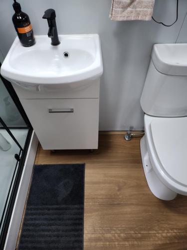HartleyTiny Home - Bluebird的浴室配有白色水槽和卫生间。