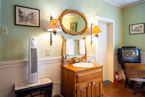 DresdenThe Pines of Dresden的一间带水槽和镜子的浴室以及一台电视