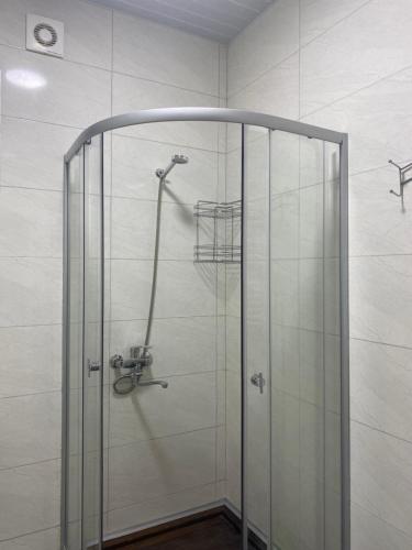 第比利斯Cozy House Tbilisi的浴室里设有玻璃门淋浴