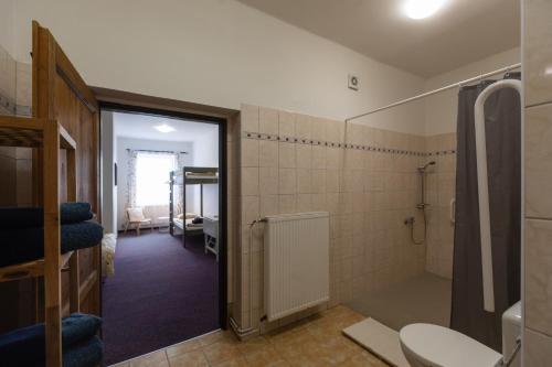 科热诺夫Chata u kostela的带淋浴、卫生间和盥洗盆的浴室